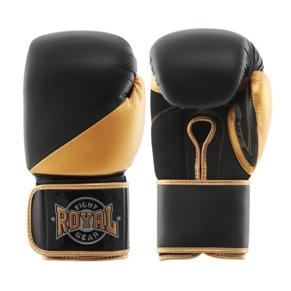 ROYAL Boxing Gloves