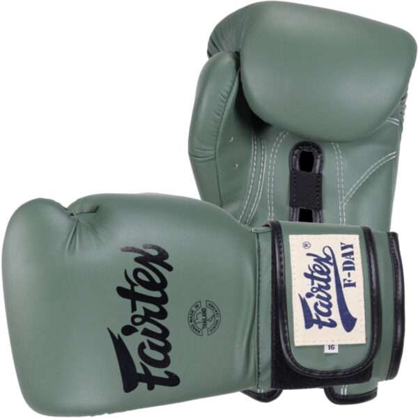 Fairtex Boksa Cimdi F-Day